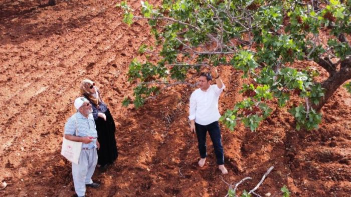 AK Parti Gaziantep Milletvekili Ali Şahin Dolu Felaketini açıkladı